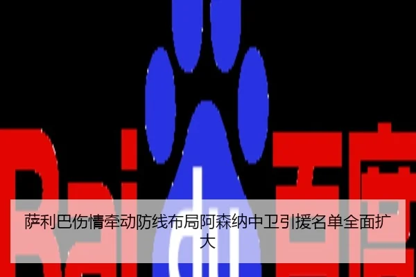 萨利巴伤情牵动防线布局阿森纳中卫引援名单全面扩大